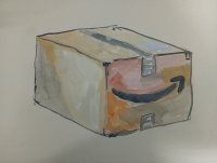 107_caja-de-amazon.jpg
